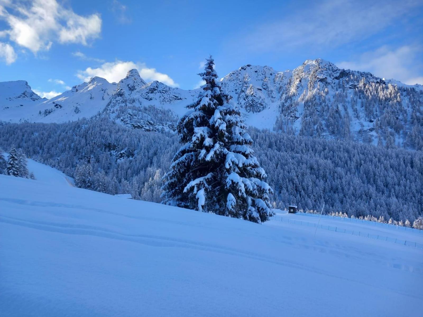L' Aroula Rooms & Restaurant Champoluc Exterior foto